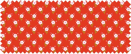 motif-13-12.jpg