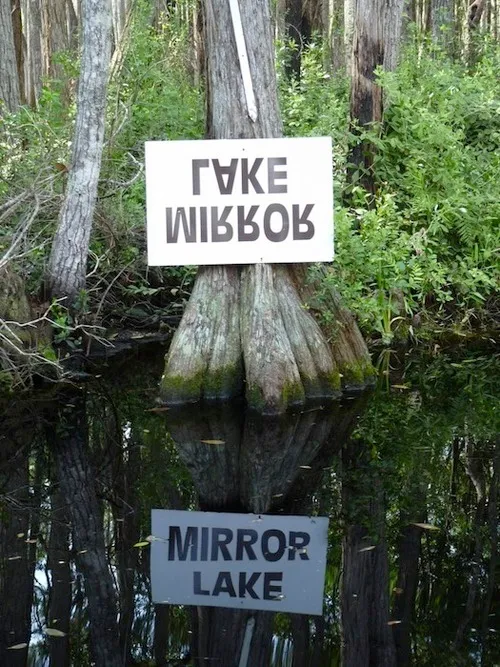 tumblr_lkz5mlZF3t1qz7lxdo1_500.jpg